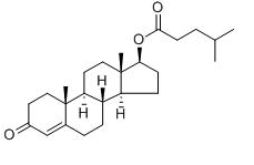Effective Raw Steroid Powder Long Ester Testosterone Isocaproate For Man CAS 15262-86-9 0