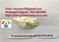 Nejbezpečnější trenbolon Source Factory GMP vysoká čistota Tren E Trenbolon Enanthate USP Grade